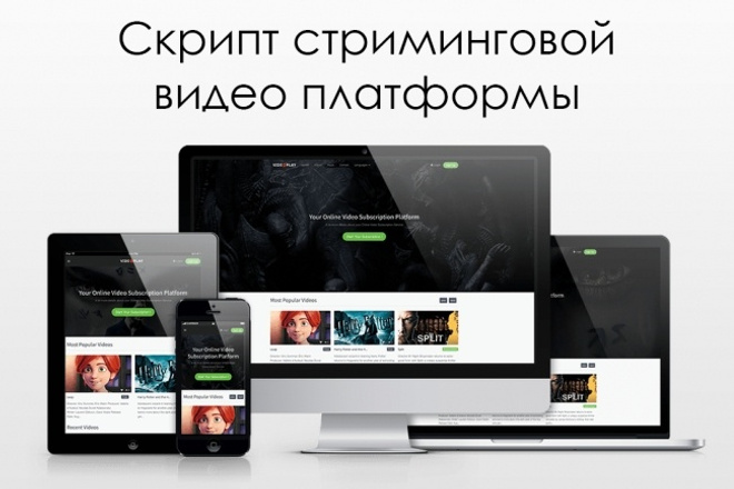 Готовый скрипт видео платформы с платными подписками