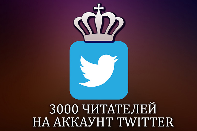 3000 читателей на аккаунт Twitter