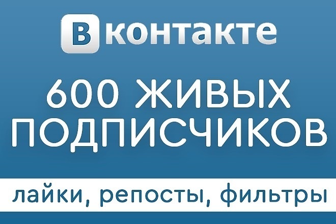 Раскрутка группы Вконтакте - плюс 600 живых подписчиков, продвижение