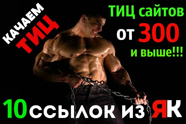 10 ссылок с сайтов в ЯК с ТИЦ от 300 и выше