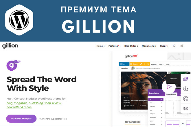 Установлю премиум тему Gillion для WP + бонус