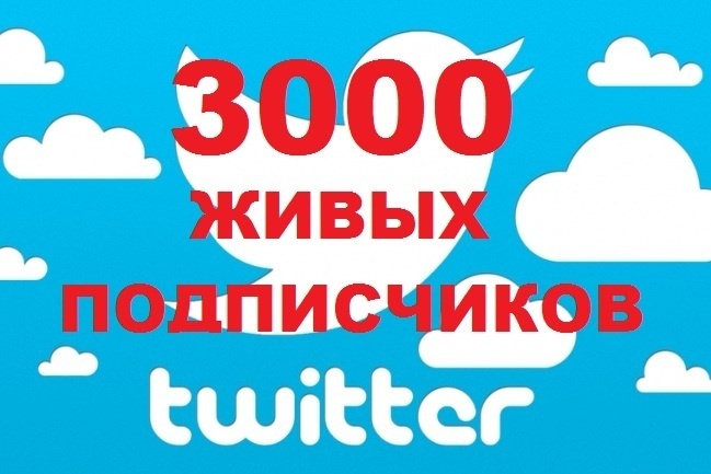 3000 подписчиков в Ваш аккаунт Twitter