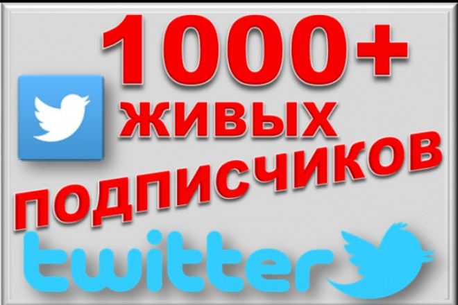 1000 живых подписчиков - фоловеров в Twitter