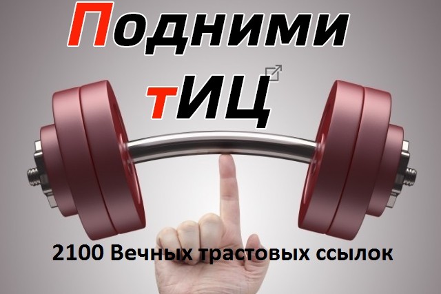 Трастовые вечные ссылки от 2100 с ТИЦ от 10+ для вашего сайта