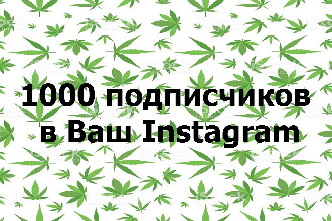 1000 подписчиков в Instagram