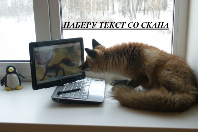 Наберу текст со скана, русский и английский язык