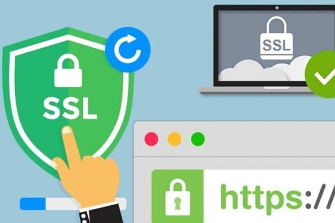 Установлю SSL сертификат для https