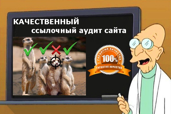 Качественный ссылочный аудит сайта