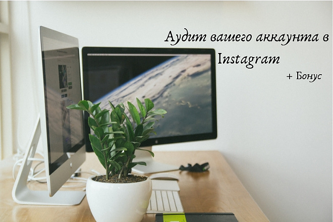Аудит Instagram + Bonus
