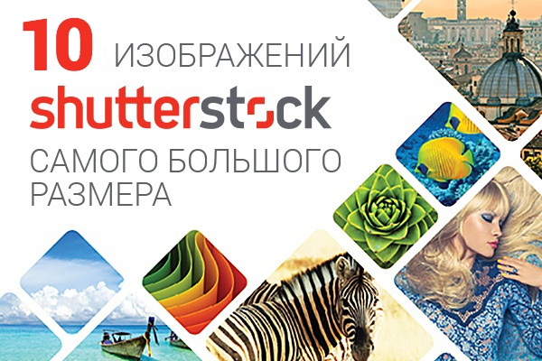 10 изображений с shutterstock в максимальном качестве