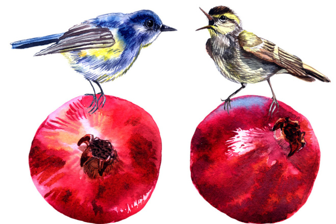 Акварельная иллюстрация