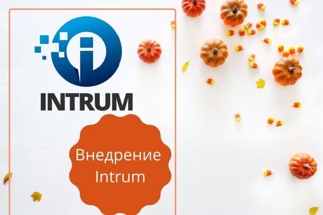 Внедрение Intrum