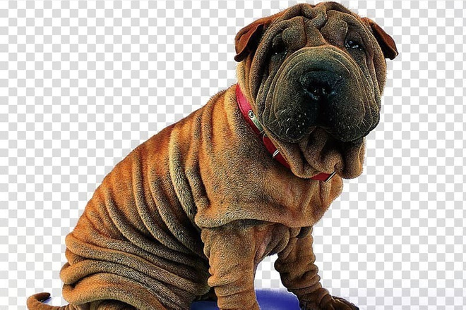 Уберу фон с любой фотогра