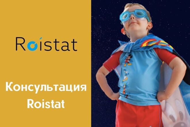 Консультации Roistat