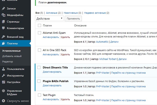 Разработка Плагина WordPress