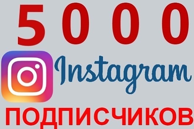 5000 инстаграм подписчиков