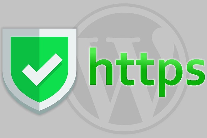 Быстро и качественно переведу сайт Wordpress на https SSL