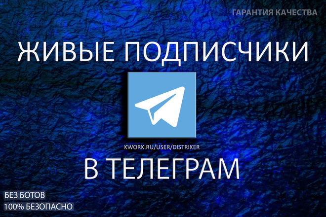 300 реальных, живых подписчиков, в Telegram канал, группу или чат