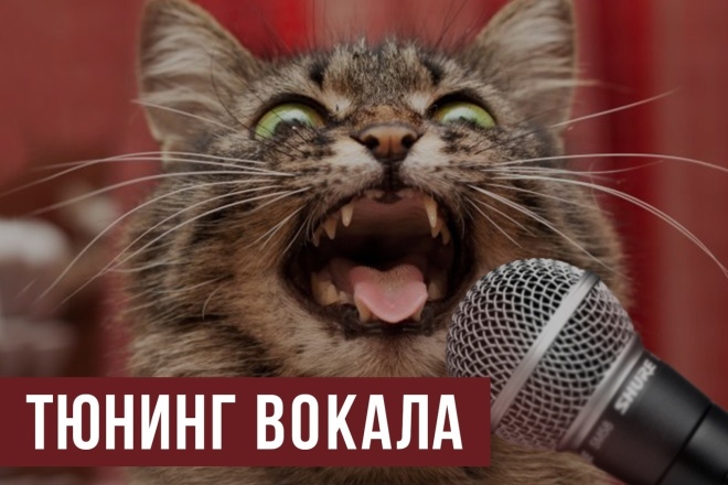 Редактирование нот, тюнинг вокала