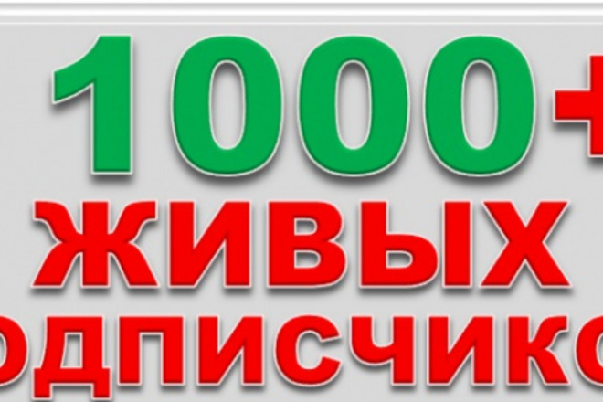 1000 реальных подписчиков + лайк