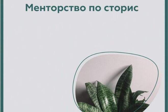 Менторство по сторис Instagram