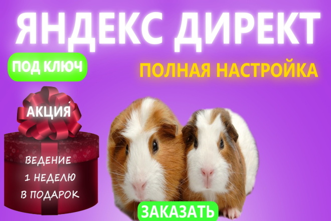 Детальная настройка яндекс директ с результатом