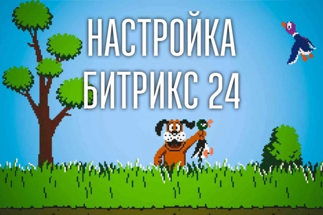 Настройка и консультация по Битрикс 24