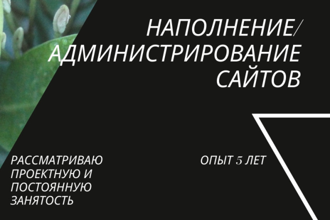 Наполню сайт