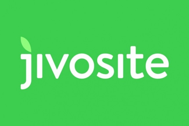 Установлю код онлайн - консультанта Jivosite