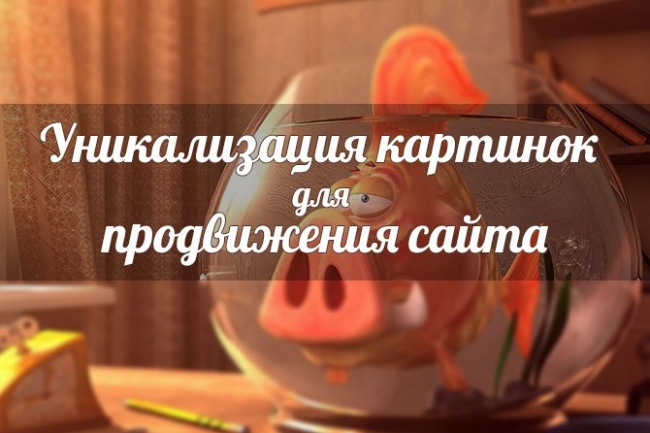 Подберу для Вас 100 качественных и уникальных фото