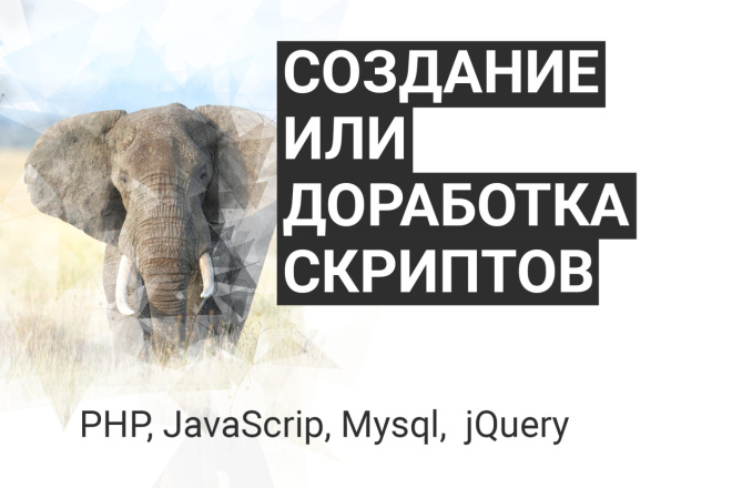 Создание или доработка скриптов на PHP, Mysql, JS