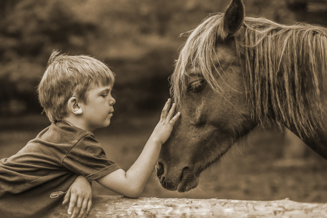 Создам художественный фотоколлаж из ваших фото