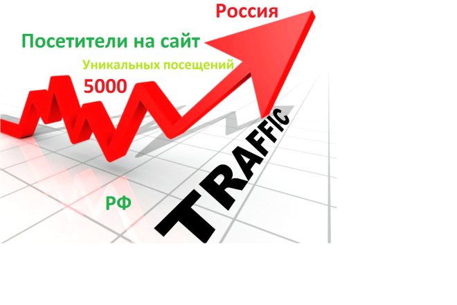 Посетители на сайт. 5000 уникальных посещений Трафик Россия Web Клики