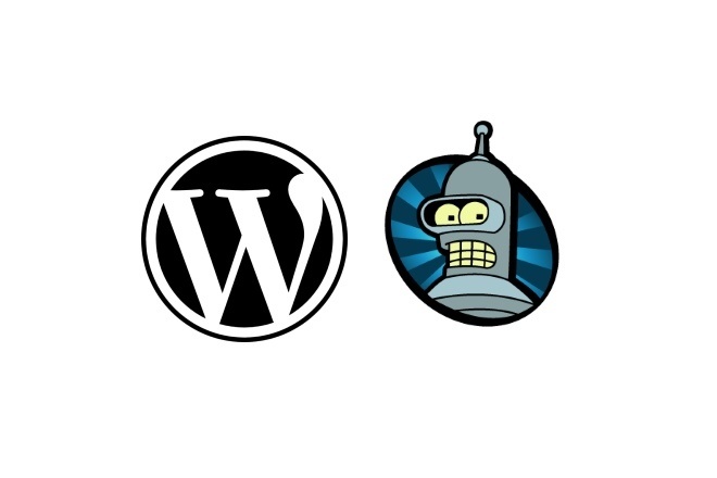 Настройка файла robots.txt на CMS WordPress