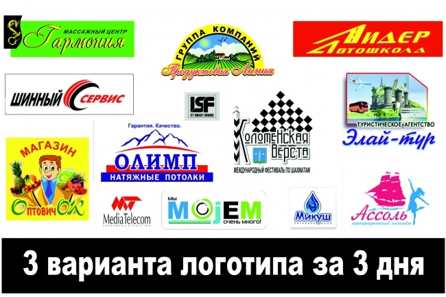 Создам 3 варианта логотипа за 3 дня