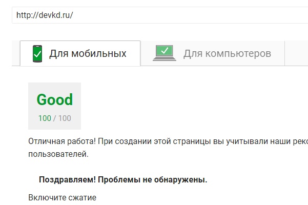 Оптимизирую сайт для Google Pagespeed Insights