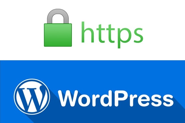 Сертификат wordpress