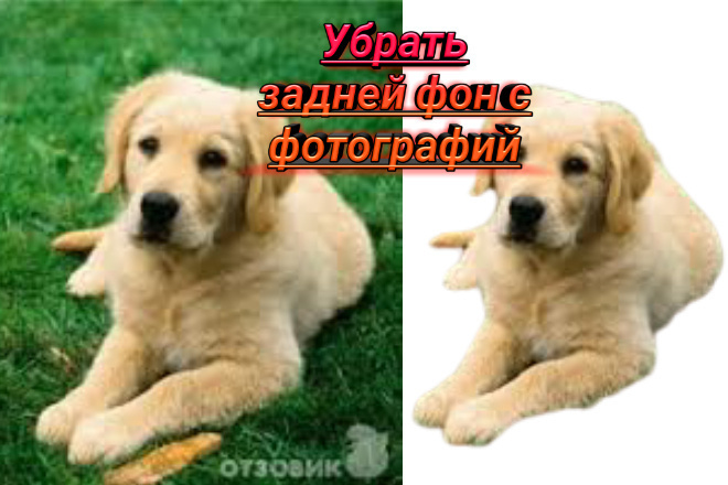 Уберу задний фон с любой фотографии