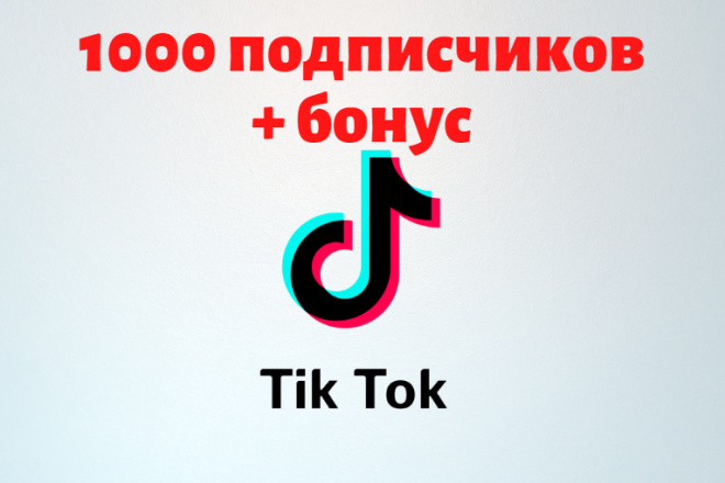 TikTok - 1000 подписчиков