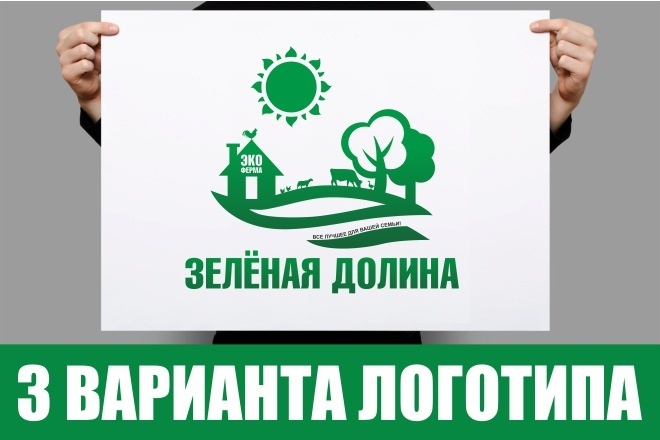 Разработка логотипа 3 варианта