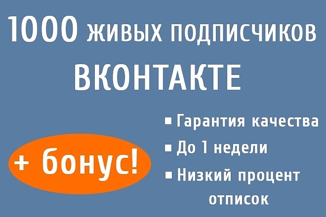 1000 живых подписчиков Вконтакте + бонус 1000 лайков на любой пост