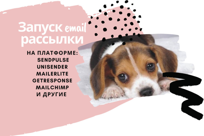 Запуск email рассылки