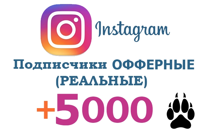 5000 подписчиков в Instagram офферные