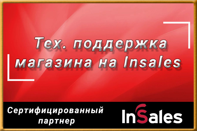 Тех. поддержка или ведение магазина на insales