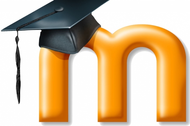 Установлю Moodle на сервер под ключ