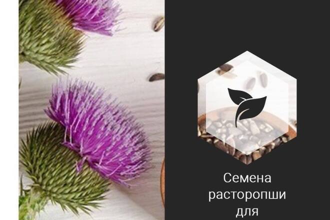 Перевести изображения в векторные