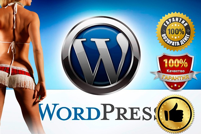 Сделаю правки сайта на Wordpress