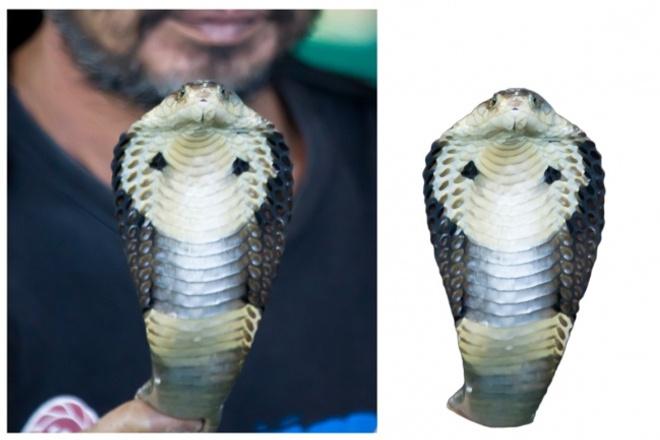 Вырежу объект на фото. Удалю фон