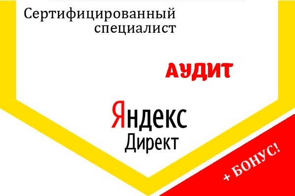 Аудит Яндекс Директ от сертифицированного специалиста. Профессионально