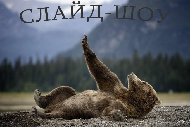 Слайд-шоу на Ваш праздник, мероприятие